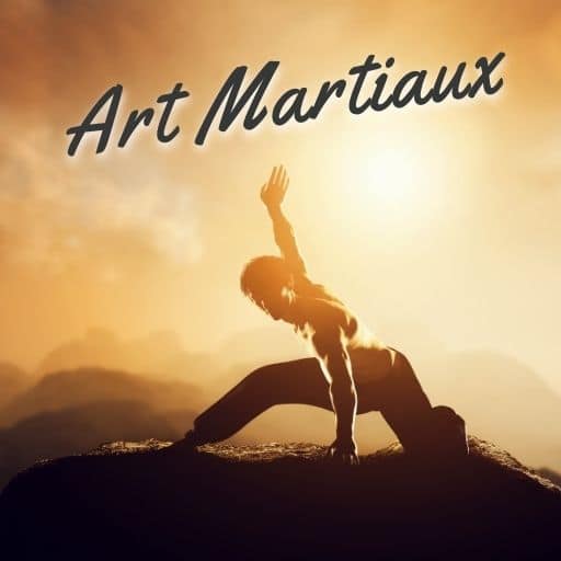 art martiaux